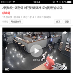 노원애견카페에서 두개골 바스러져 죽은 강아지