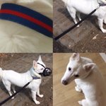 [개깊은빡침] 사랑하는 가족의 <b>생사</b>조차 알지 못하게 만든 인간