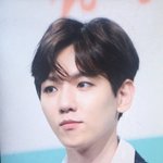 [EXO] 백현이 탑시드홈마들 그로 고소준비중이래