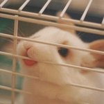 [댓글부탁해] 나처럼 걍 <b>모든남자</b>가 불편한애있냐