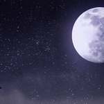 [방탄소년단] 타팬이니당
