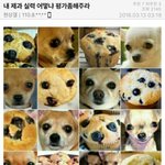 [댓글부탁해] 턱이 <b>귀족</b>처럼 긴게 뭐임?