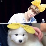 [강다니엘] 싱가폴에서 도대체 언제<b>오니</b>..