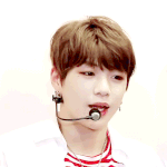 [강다니엘] 멍뭉이 <b>in</b> 호주