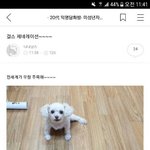 [댓글부탁해] 할머니 <b>생신</b>선물 뭐가좋을까?!