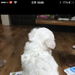 [19] 학원 남자애가 요즘 내가슴을만져ㅠㅠㅠ