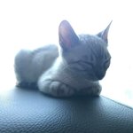 [ㅠㅠㅠㅠㅠ] 꿈 꿨는데 개달달했어 ㅠㅠ