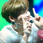 [강다니엘] 시드니 케이콘 프리뷰 (<b>심약</b>자 조심)