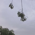 [댓글부탁해] 이쁜그림이나 일러스트 올려주라 ㅠㅜ