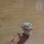 [댓글부탁해] 양홍원 요즘 놈 귀여워