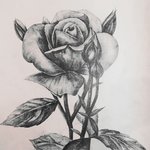 [그림] 그림 실력이나 <b>손재주</b> 평가해주세요