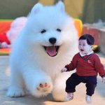 [강다니엘] 투표독려 what <b>up</b>!!(+이쁜짤이 숨어있음)