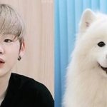 [강다니엘] 오랜만에 다니엘 체크 <b>셔츠</b> 모음