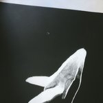 [EXO] <b>미술</b>수행인데 잘 살릴수 있을까 ㅅㅂ