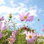 나 도서관인데 말 할까?