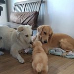 [드루와] 진짜 긍정적으로 사는게 짱인듯