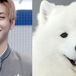 [강다니엘] 다녤 입국 직캠(peachcrush)