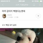 [드루와] 학교에 담요 가져갔다가 애들이 찢음ㅋㅋㅋㅋㅋㅋㅋ