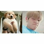 [강다니엘] 이거봤어?? <b>눈꽃</b>녤