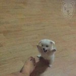 [추반] 추반 해<b>보장</b>❤❤