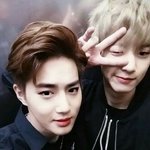 [EXO] <b>이탈</b>빼박