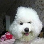 보라색 <b>메베</b>바르면