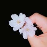 [조언부탁해] 특성화고.<b>인문</b>계