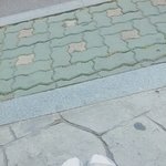 버스정류장 에서 <b>주디</b>슬리퍼를 찾아주세요 !