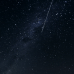 내 친구 <b>손목</b>보고 오열했다