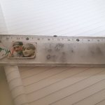 [EXO] 나 몇년전에 쓰던 자 찾았는데 ㅁㅊㅋㅋㅋㅋㅋㅋㅋㅋ