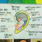 얘들아ㅠ 급해 <b>피임약</b>이