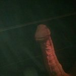 판녀 생각하며 딸쳐서 18센치 풀발함 <b>사진O</b>