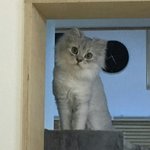 다들 3번째 앨범 <b>첫</b>번째 <b>사진</b> 남기구가~