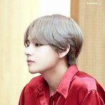 [방탄소년단] 헐 방탄팬들아