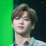 [강다니엘] 녤깅이 보고 힐링
