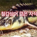 [EXO] <b>인성</b>하니까 생각난건데 ㅋㅋㅋㅋㅋ