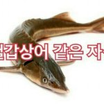 [EXO] <b>철갑</b>상어같은것들아 좀 쳐 자