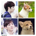 [곽아론] 아로니 닮은꼴