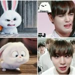 [박지훈] 윙간토끼 박지훈