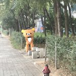 전에 <b>집</b> <b>앞</b>에 교통사고 났었는데