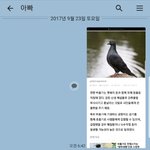 [드루와] 울아부지 자꾸 <b>비둘기</b>한테 밥줘서