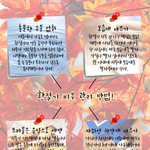 환절기에도 <b>꿀</b><b>피부</b> 유지하는 팁