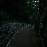 <b>뒷산</b>에 올라...