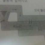 [공판] 중2 과학 배설 잘 아는애들아!!!