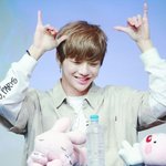 [강다니엘] 시그녤 보내~ 시그녤 보내~ 찌릿찌릿