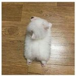 [댓글부탁해] 얘들아 에뛰드 무화과파운드<b>케익</b>이랑