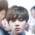 [박지훈] <b>청초</b>하다