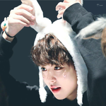 [워너원] 우리원 앓는중...