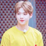 [강다니엘] 워/너/시/티 떴다!
