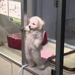 쪼해피 링크있는사람